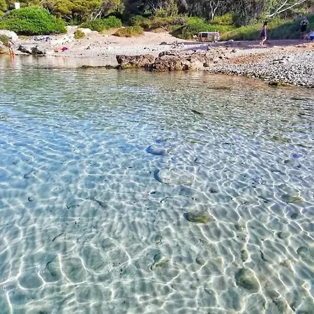 D'annunzio 나르도