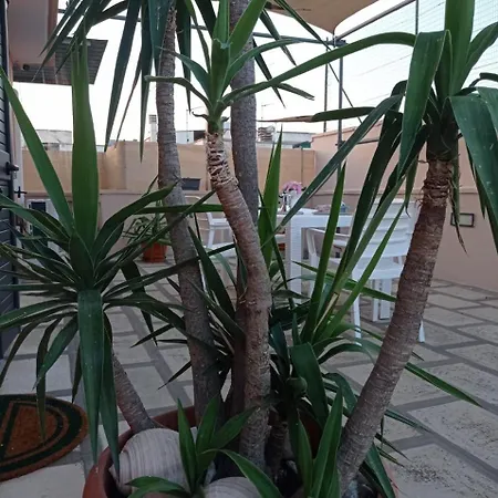 D'annunzio 아파트 *